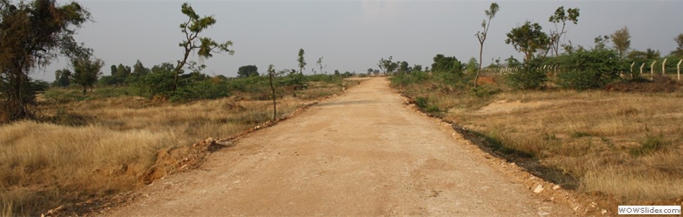 Open land